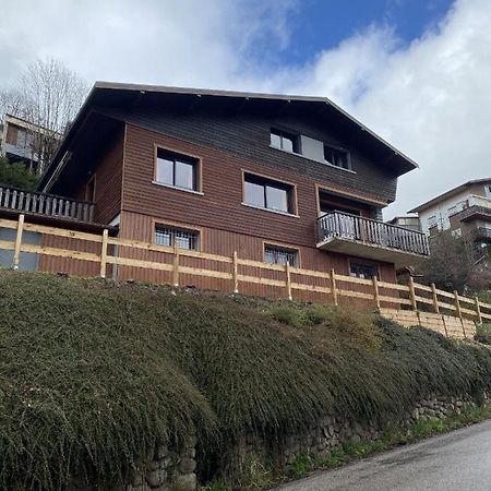 Chalet Les Trois Vallees La Bresse Exterior foto